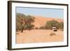 Road in the Sossusvlei, the Famous Red Dunes of Namib Desert-Micha Klootwijk-Framed Photographic Print