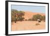 Road in the Sossusvlei, the Famous Red Dunes of Namib Desert-Micha Klootwijk-Framed Photographic Print