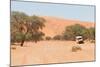 Road in the Sossusvlei, the Famous Red Dunes of Namib Desert-Micha Klootwijk-Mounted Photographic Print