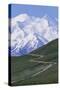 Road in Thorofare Pass Below Mt. Mckinley-Paul Souders-Stretched Canvas