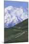 Road in Thorofare Pass Below Mt. Mckinley-Paul Souders-Mounted Premium Photographic Print