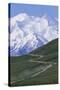 Road in Thorofare Pass Below Mt. Mckinley-Paul Souders-Stretched Canvas