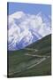 Road in Thorofare Pass Below Mt. Mckinley-Paul Souders-Stretched Canvas
