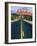 Road Into Sedona, Sedona, U.S.A.-Ann Cecil-Framed Photographic Print