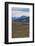 Road Leading Through the Torres Del Paine National Park, Patagonia, Chile, South America-Michael Runkel-Framed Photographic Print