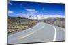 Road Leading to Mount Ruapehu, Tongariro National Park, North Island, New Zealand, Pacific-Michael Runkel-Mounted Photographic Print