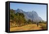 Road Leading to the Granite Peaks of Mount Mulanje, Malawi, Africa-Michael Runkel-Framed Stretched Canvas