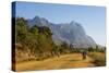 Road Leading to the Granite Peaks of Mount Mulanje, Malawi, Africa-Michael Runkel-Stretched Canvas