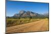 Road Leading to the Granite Peaks of Mount Mulanje, Malawi, Africa-Michael Runkel-Mounted Photographic Print