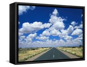 Road Leading to the Hoizon, Namibia, Africa-Lee Frost-Framed Stretched Canvas