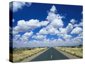Road Leading to the Hoizon, Namibia, Africa-Lee Frost-Stretched Canvas