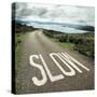 Road leading to the ocean with 'slow' painted on it-null-Stretched Canvas