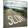 Road leading to the ocean with 'slow' painted on it-null-Mounted Photographic Print