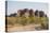 Road Leading to the Purnululu National Park-Michael Runkel-Stretched Canvas