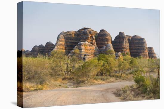 Road Leading to the Purnululu National Park-Michael Runkel-Stretched Canvas