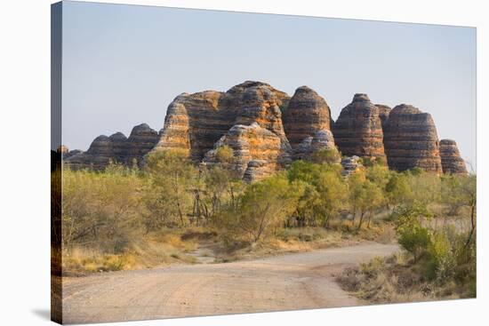 Road Leading to the Purnululu National Park-Michael Runkel-Stretched Canvas