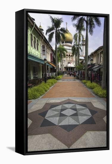 Road Leading to the Sultan Mosque in the Arab Quarter, Singapore, Southeast Asia, Asia-John Woodworth-Framed Stretched Canvas