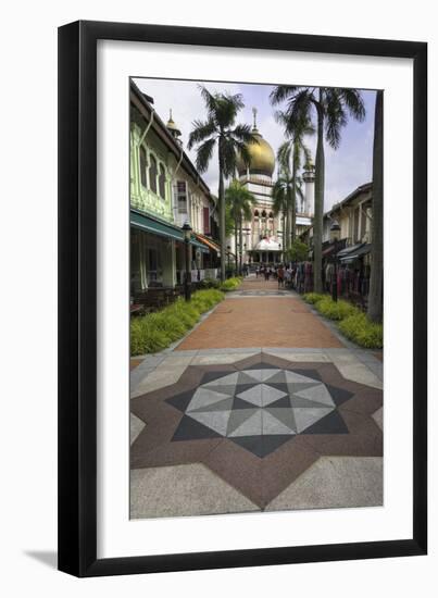 Road Leading to the Sultan Mosque in the Arab Quarter, Singapore, Southeast Asia, Asia-John Woodworth-Framed Photographic Print