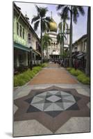 Road Leading to the Sultan Mosque in the Arab Quarter, Singapore, Southeast Asia, Asia-John Woodworth-Mounted Photographic Print