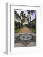 Road Leading to the Sultan Mosque in the Arab Quarter, Singapore, Southeast Asia, Asia-John Woodworth-Framed Photographic Print