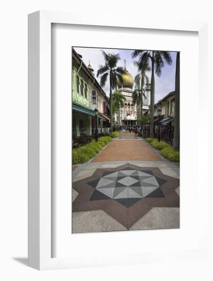 Road Leading to the Sultan Mosque in the Arab Quarter, Singapore, Southeast Asia, Asia-John Woodworth-Framed Photographic Print