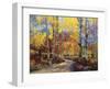 Road Less Traveled-Robert Moore-Framed Art Print