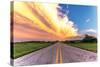 Road Less Traveled-Donnie Quillen-Stretched Canvas