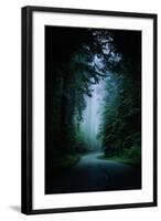 Road Light Redwood Forest California Coast Mystical Mist-Vincent James-Framed Photographic Print