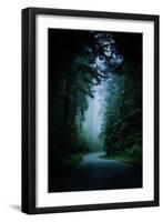 Road Light Redwood Forest California Coast Mystical Mist-Vincent James-Framed Premium Photographic Print