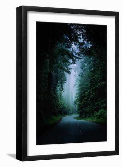 Road Light Redwood Forest California Coast Mystical Mist-Vincent James-Framed Premium Photographic Print