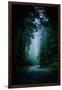 Road Light Redwood Forest California Coast Mystical Mist-Vincent James-Framed Photographic Print