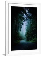 Road Light Redwood Forest California Coast Mystical Mist-Vincent James-Framed Photographic Print