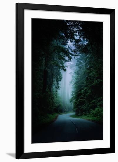 Road Light Redwood Forest California Coast Mystical Mist-Vincent James-Framed Photographic Print