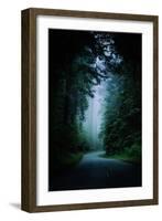 Road Light Redwood Forest California Coast Mystical Mist-Vincent James-Framed Photographic Print