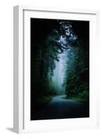 Road Light Redwood Forest California Coast Mystical Mist-Vincent James-Framed Photographic Print