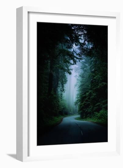 Road Light Redwood Forest California Coast Mystical Mist-Vincent James-Framed Photographic Print