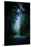 Road Light Redwood Forest California Coast Mystical Mist-Vincent James-Stretched Canvas