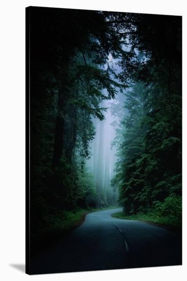 Road Light Redwood Forest California Coast Mystical Mist-Vincent James-Stretched Canvas