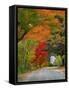 Road Lined in Fall Color, Andover, New England, New Hampshire, USA-Jaynes Gallery-Framed Stretched Canvas