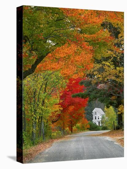 Road Lined in Fall Color, Andover, New England, New Hampshire, USA-Jaynes Gallery-Stretched Canvas