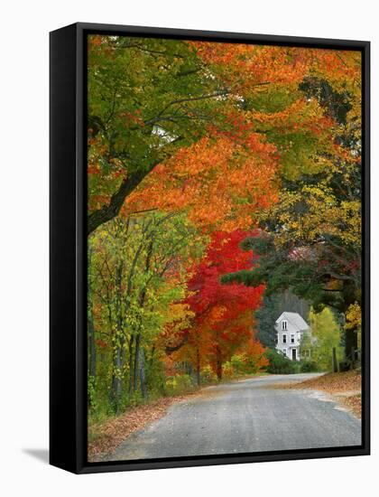 Road Lined in Fall Color, Andover, New England, New Hampshire, USA-Jaynes Gallery-Framed Stretched Canvas