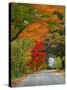 Road Lined in Fall Color, Andover, New England, New Hampshire, USA-Jaynes Gallery-Stretched Canvas