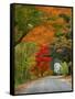 Road Lined in Fall Color, Andover, New England, New Hampshire, USA-Jaynes Gallery-Framed Stretched Canvas