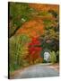 Road Lined in Fall Color, Andover, New England, New Hampshire, USA-Jaynes Gallery-Stretched Canvas