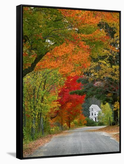Road Lined in Fall Color, Andover, New England, New Hampshire, USA-Jaynes Gallery-Framed Stretched Canvas