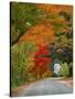 Road Lined in Fall Color, Andover, New England, New Hampshire, USA-Jaynes Gallery-Stretched Canvas