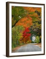 Road Lined in Fall Color, Andover, New England, New Hampshire, USA-Jaynes Gallery-Framed Premium Photographic Print