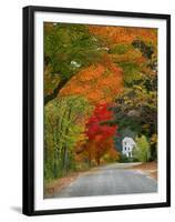 Road Lined in Fall Color, Andover, New England, New Hampshire, USA-Jaynes Gallery-Framed Premium Photographic Print
