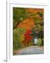 Road Lined in Fall Color, Andover, New England, New Hampshire, USA-Jaynes Gallery-Framed Premium Photographic Print