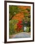 Road Lined in Fall Color, Andover, New England, New Hampshire, USA-Jaynes Gallery-Framed Premium Photographic Print